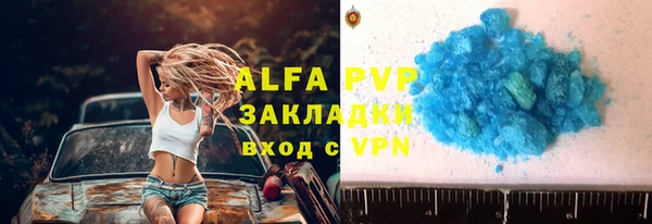 молекула духа Гусев