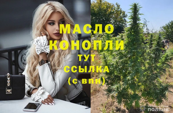 молекула духа Гусев