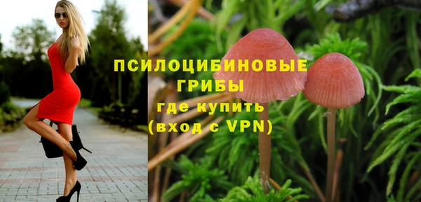 молекула духа Гусев