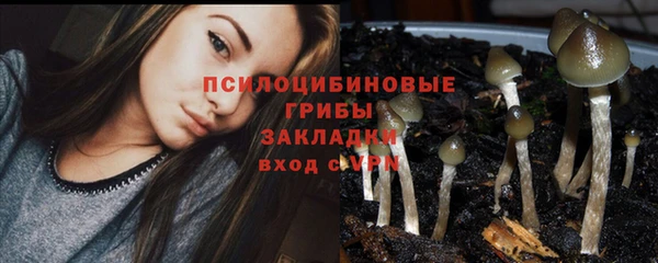 молекула духа Гусев