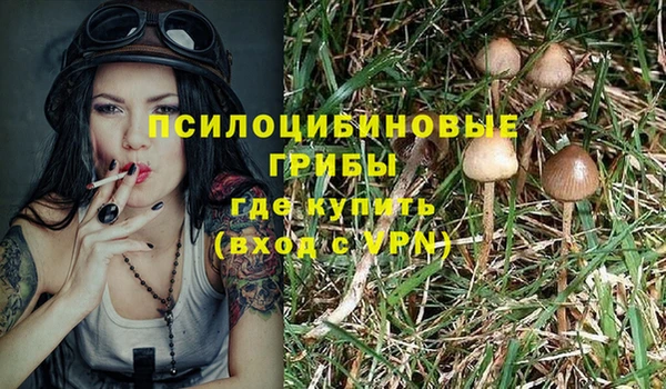 бутират Гусь-Хрустальный