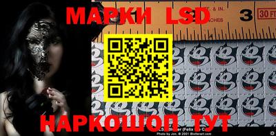 шишки Аргун