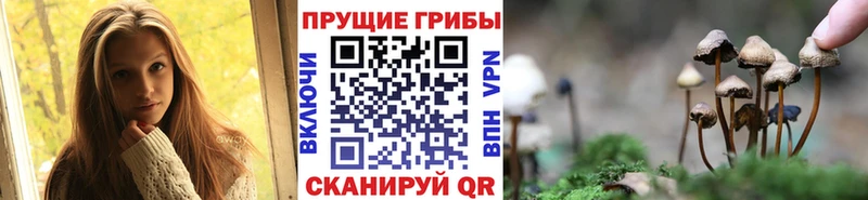 Купить  Люберцы  Псилоцибиновые грибы прущие грибы 