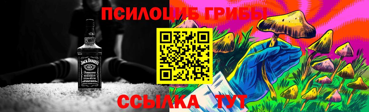 Галлюциногенные грибы Cubensis  Вход с VPN  Люберцы  Галлюциногенные грибы мицелий 
