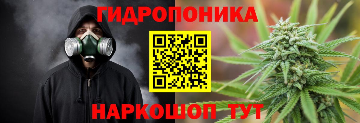 МАРИХУАНА Amnesia  Каннабис гибрид  Вход с VPN  Люберцы  Бошки марихуана AK-47  Бошки Шишки White Widow 
